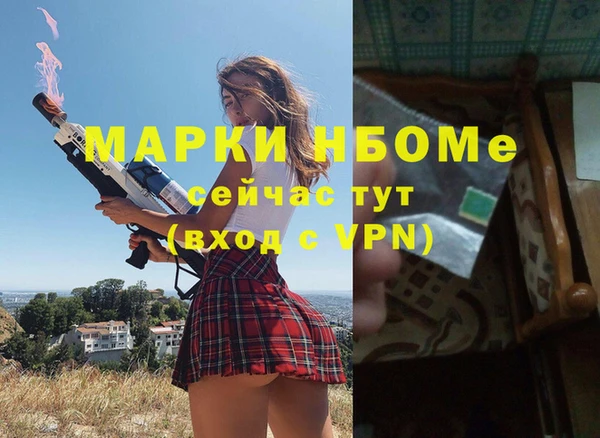 альфа пвп Новокубанск