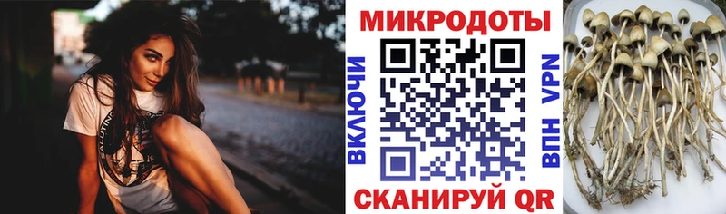 Псилоцибиновые грибы ЛСД  Котовск 