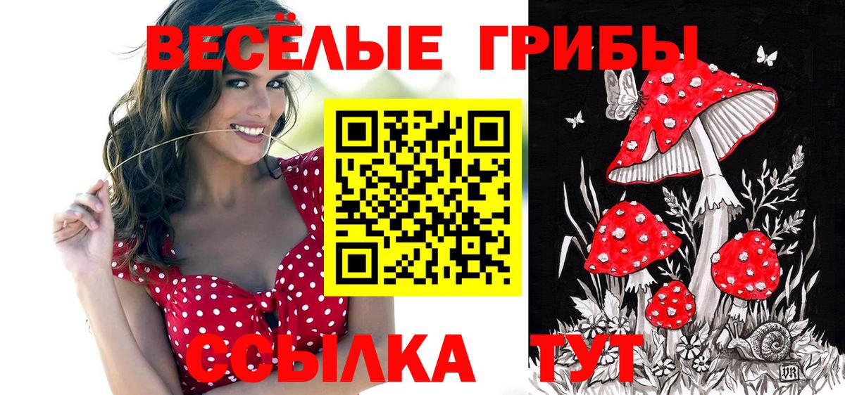 Котовск  где продают   Вход с VPN  Галлюциногенные грибы GOLDEN TEACHER 